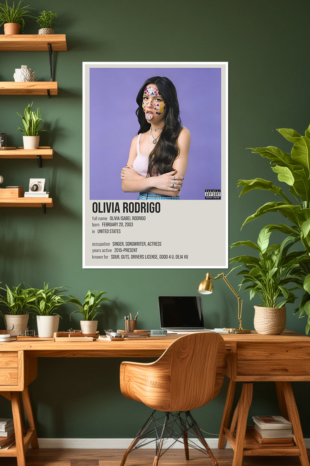 Olivia Rodrigo | Sour Album | Music Poster